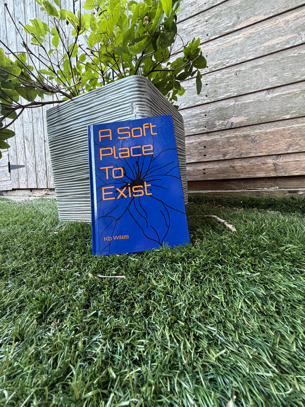 SIGNED: A Soft Place To Exist